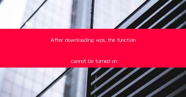After downloading wps, the function cannot be turned on