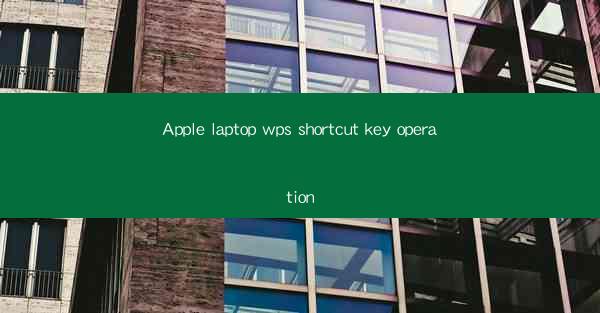 Apple laptop wps shortcut key operation