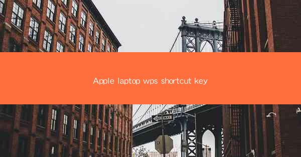 Apple laptop wps shortcut key