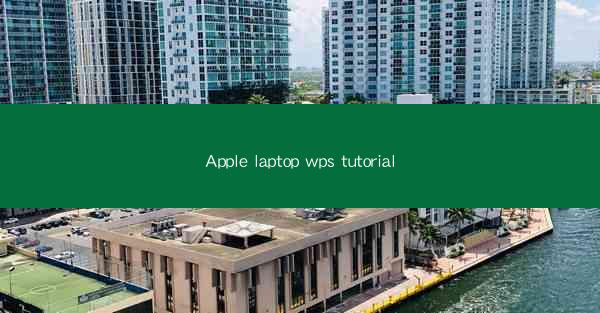 Apple laptop wps tutorial