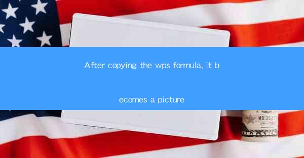 After copying the wps formula, it becomes a picture