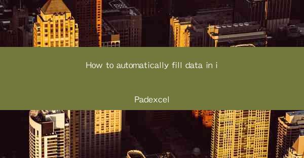 How to automatically fill data in iPadexcel